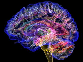 操逼货视频大脑植入物有助于严重头部损伤恢复